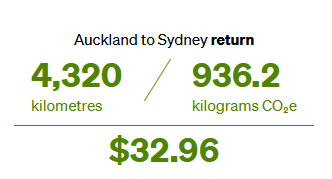 airnzCO2.png